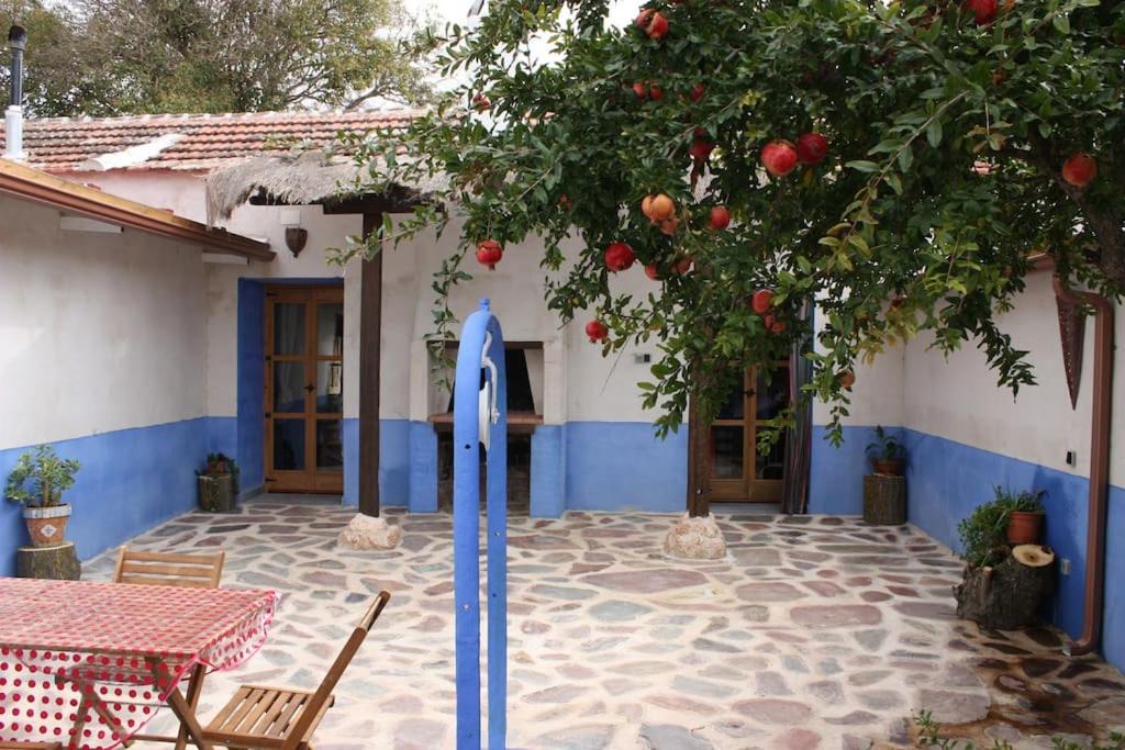 Photo of Others in Peralvillo