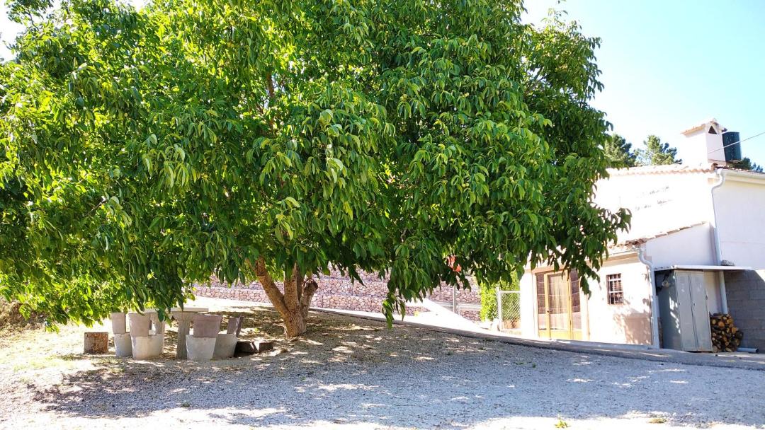 Photo of Buildings in Riopar