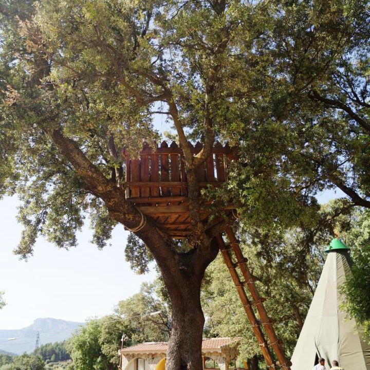 Photo of Others in Yeste