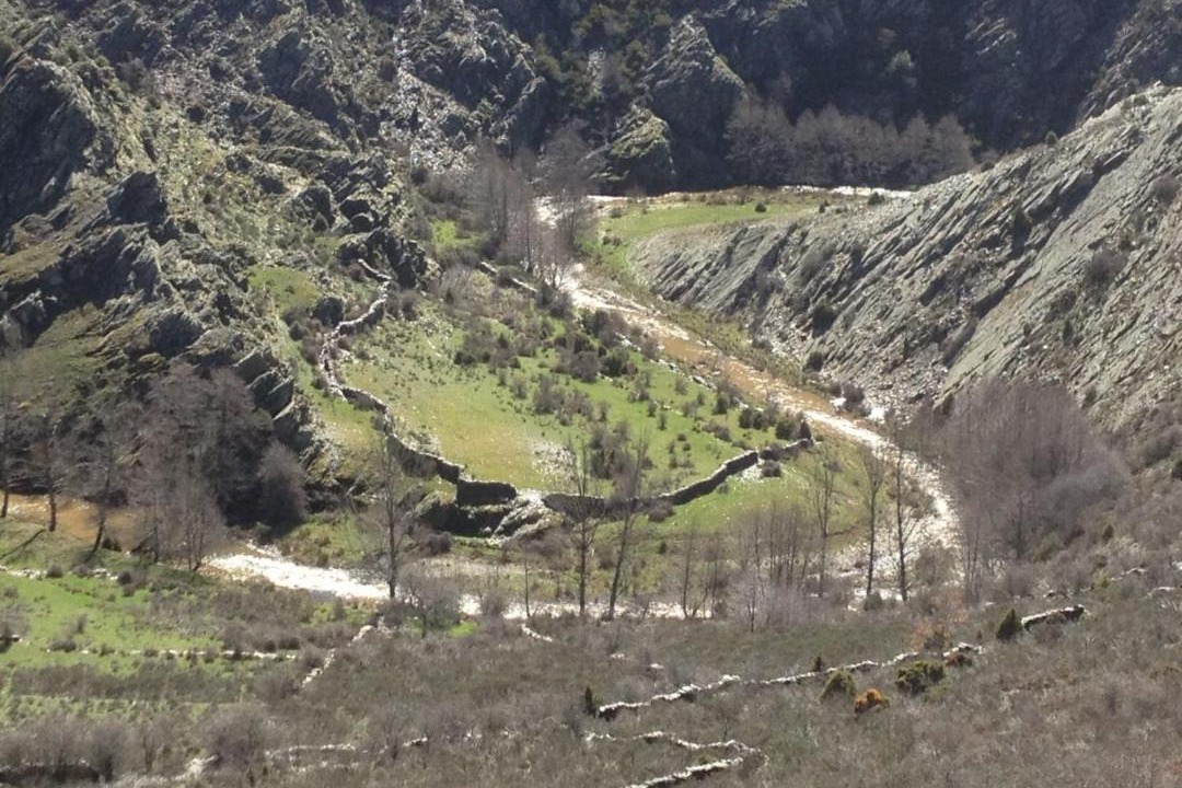 Photo of Others in Pradena de Atienza
