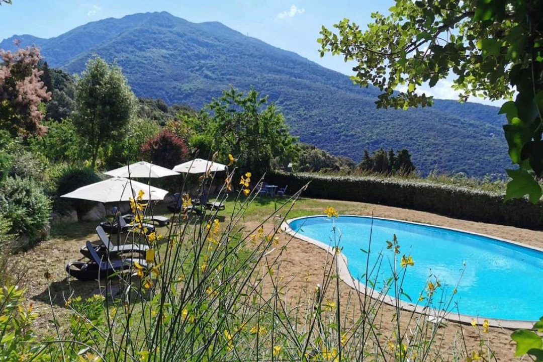 Photo of Others in Montseny