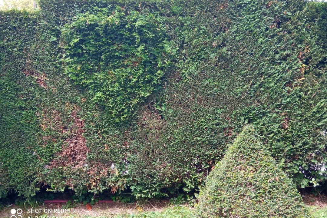 Photo of Outdoor in Pando