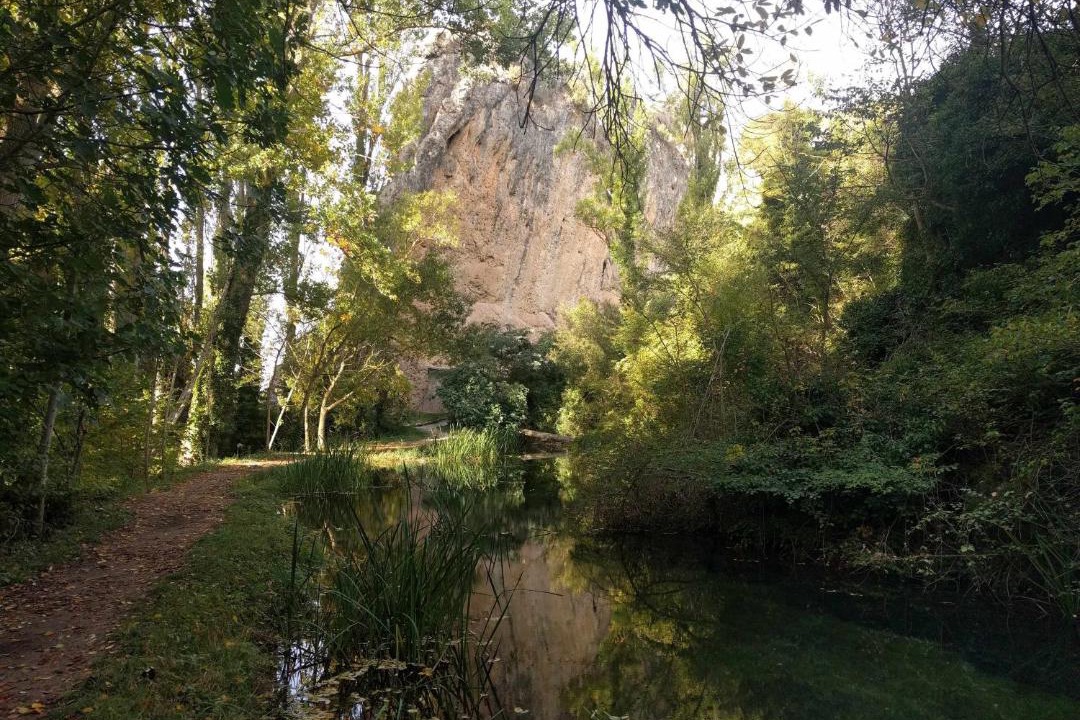 Photo of Others in Peralta de Calasanz