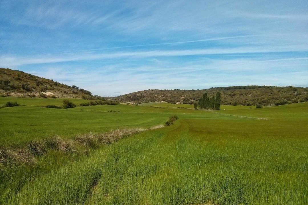 Photo of Others in Peralta de Calasanz