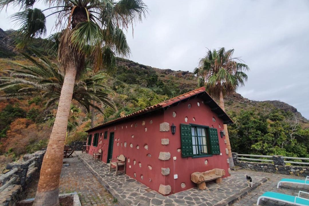 Photo of Others in Realejo Alto