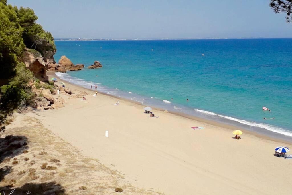 Photo of Outdoor in Miami Platja