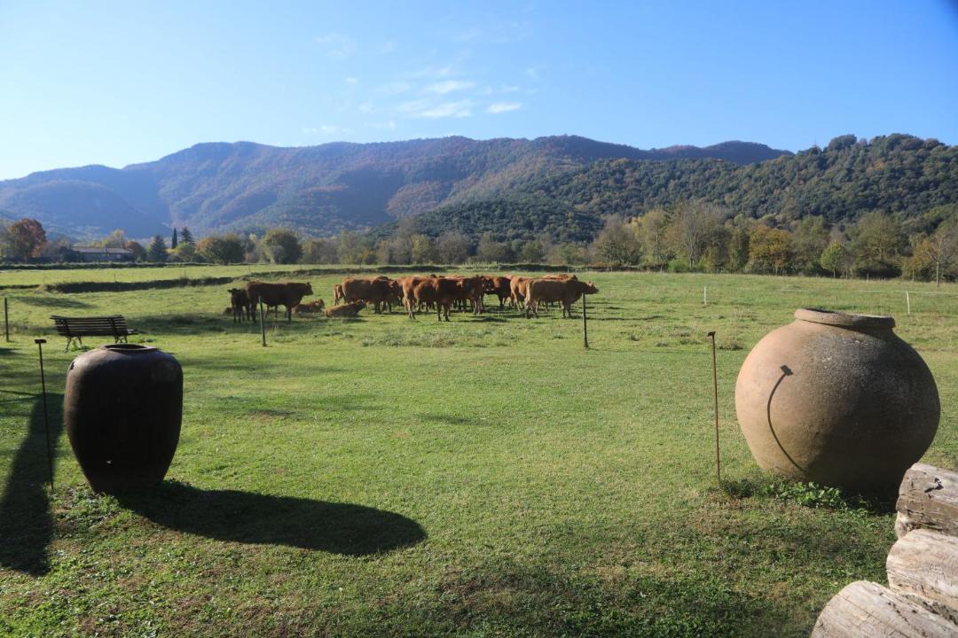 Photo of Others in Santa Pau