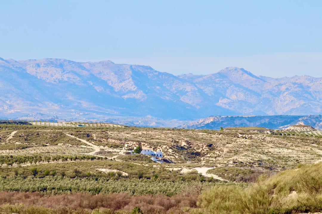 Photo of Others in Carramaiza