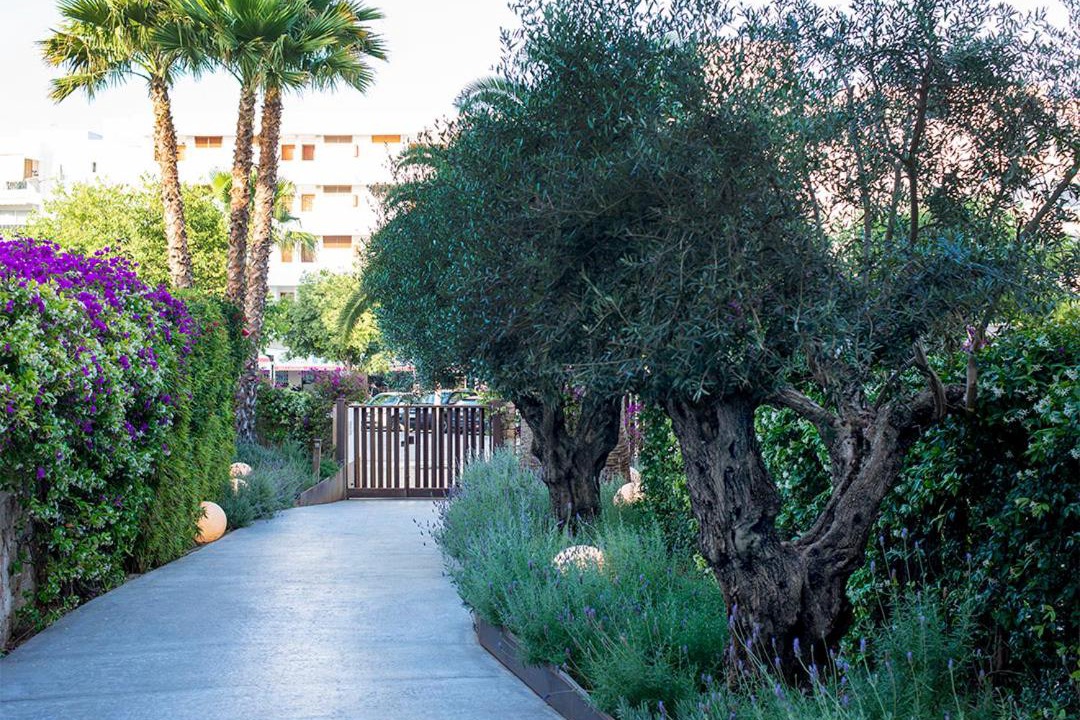 Photo of Outdoor in Figueretas
