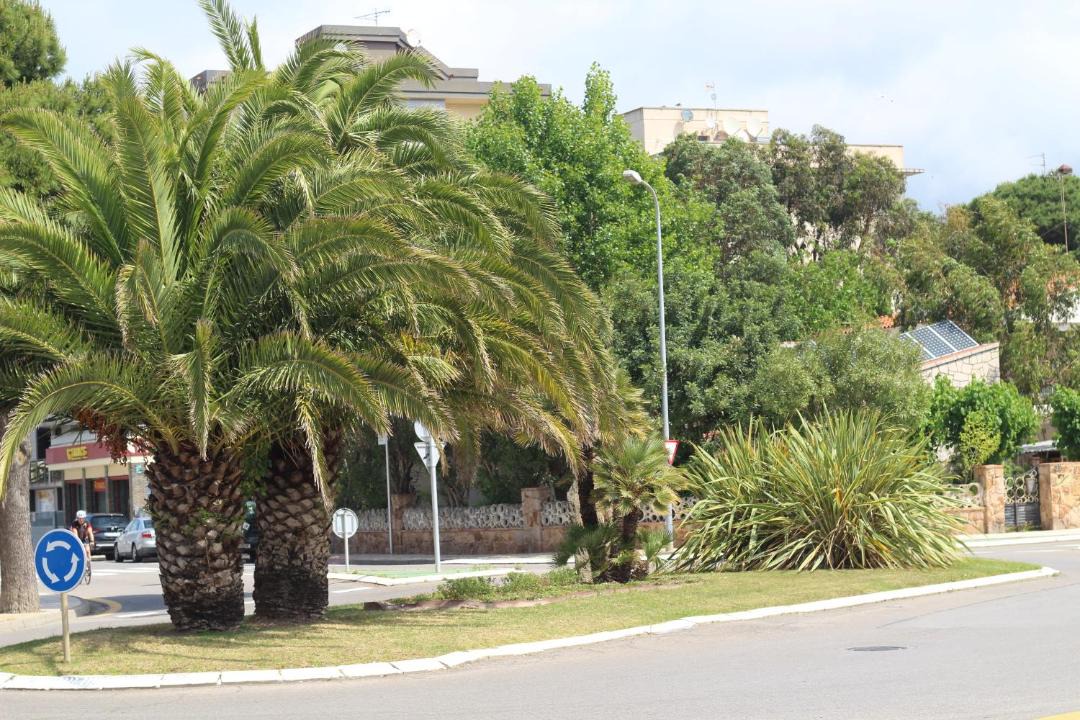 Photo of Buildings in Santa Margarida