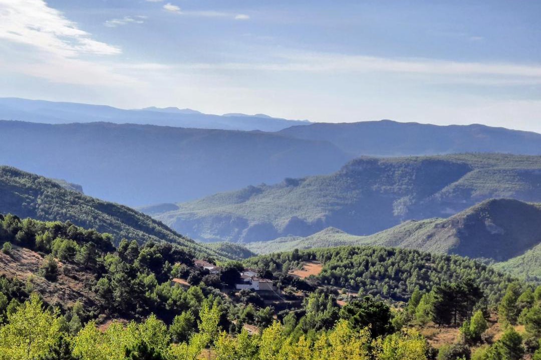 Photo of Others in Yeste