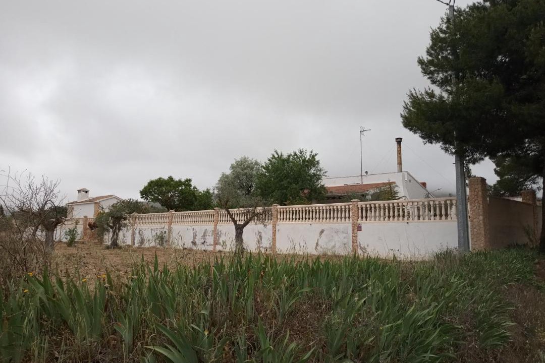 Photo of Others in Yecla