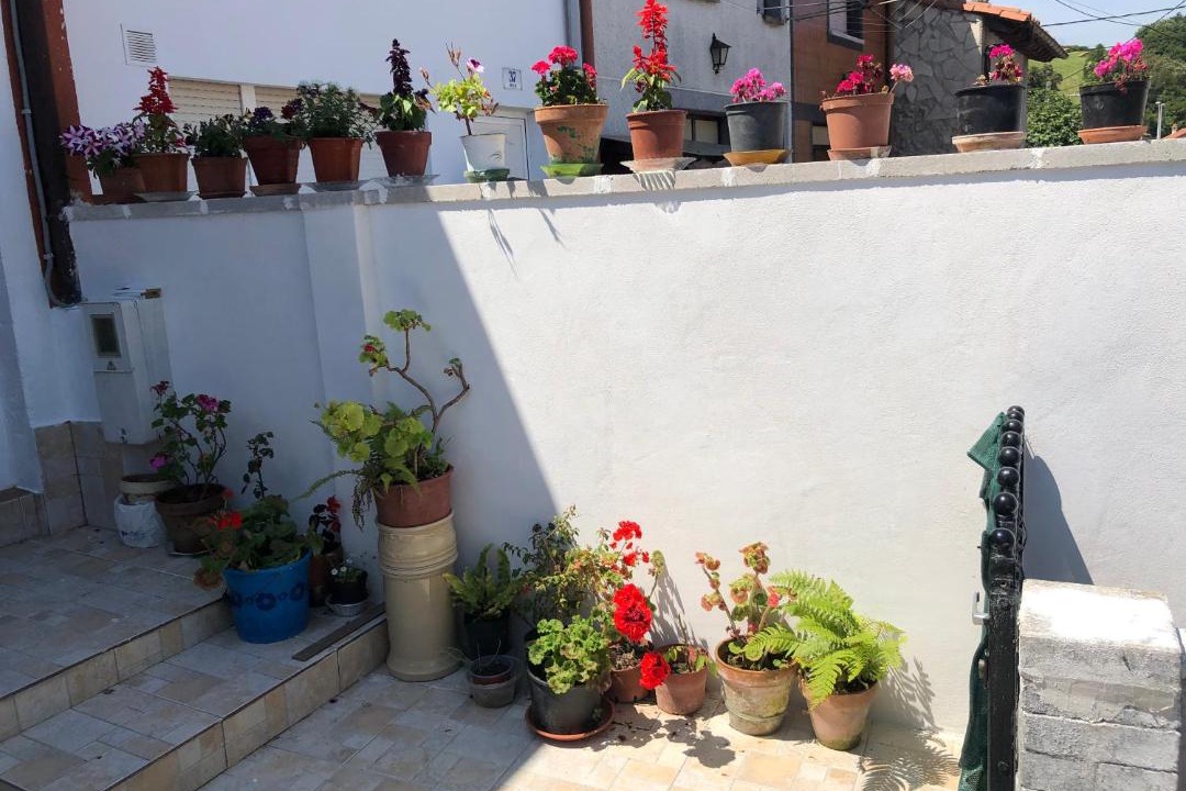 Photo of Patio Balcony in La Acebosa