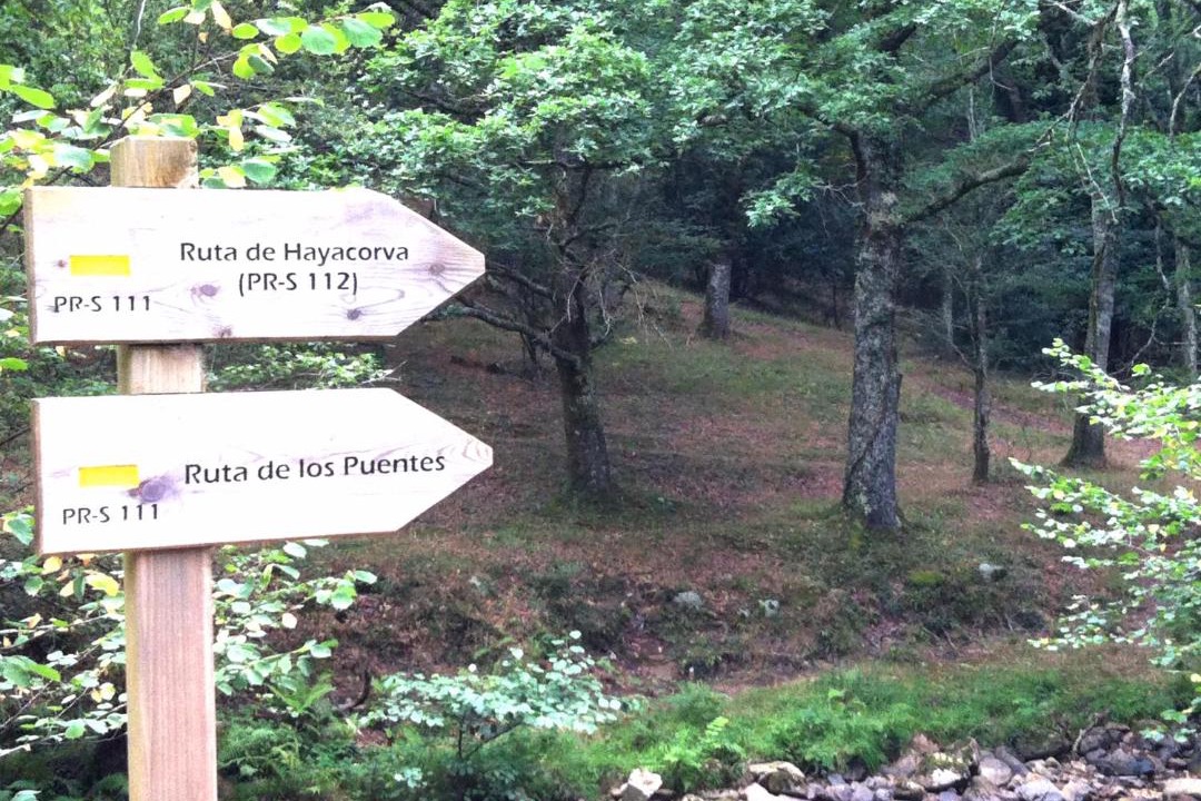 Photo of Others in Ucieda de Abajo