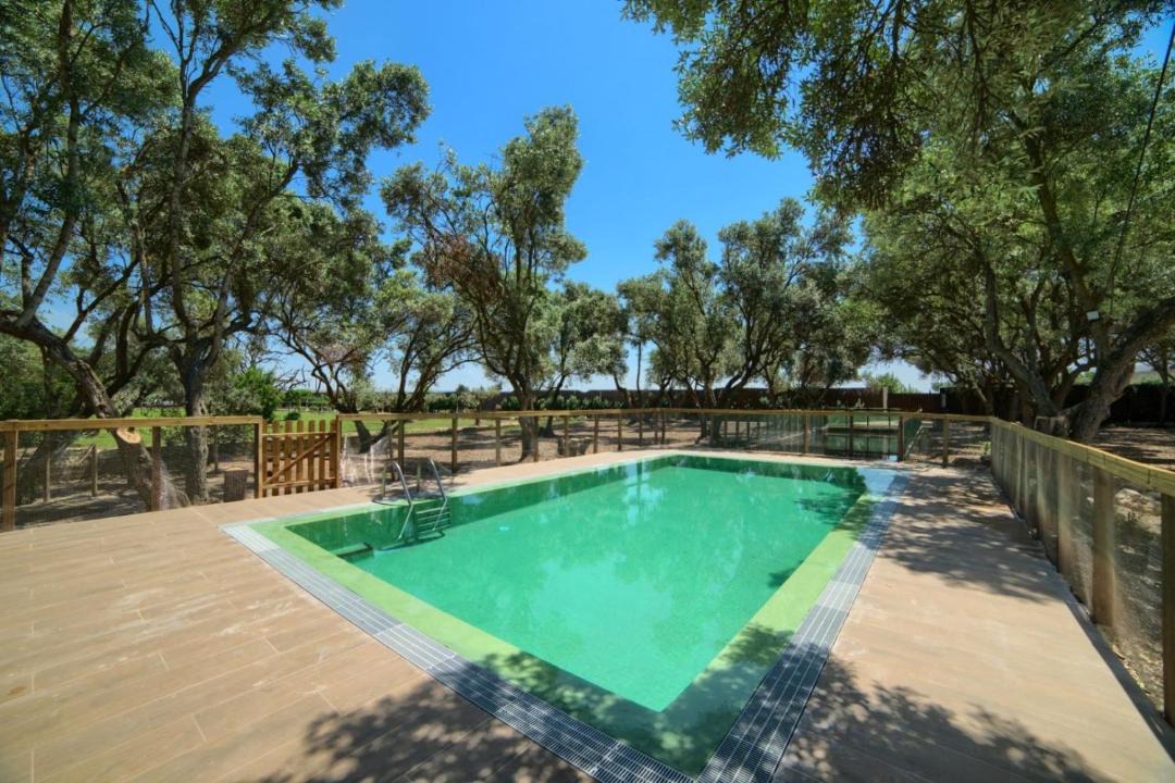 Photo of Outdoor in Cascante