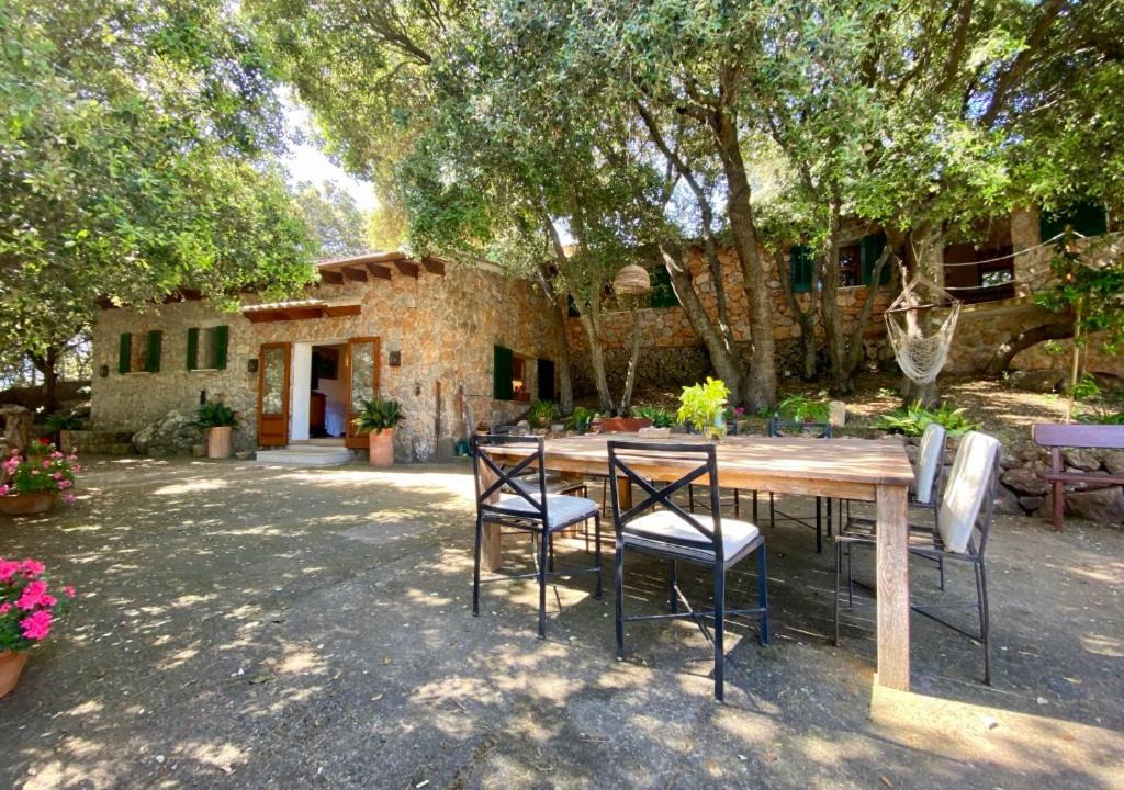Photo of Others in Valldemossa