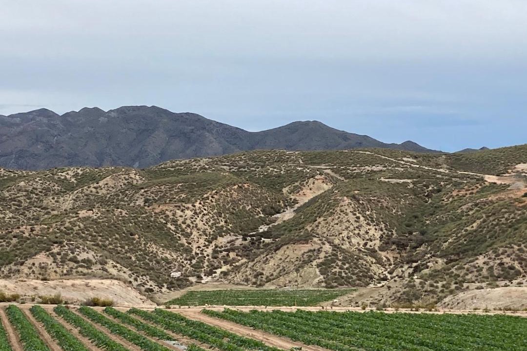 Photo of Outdoor in Cunas
