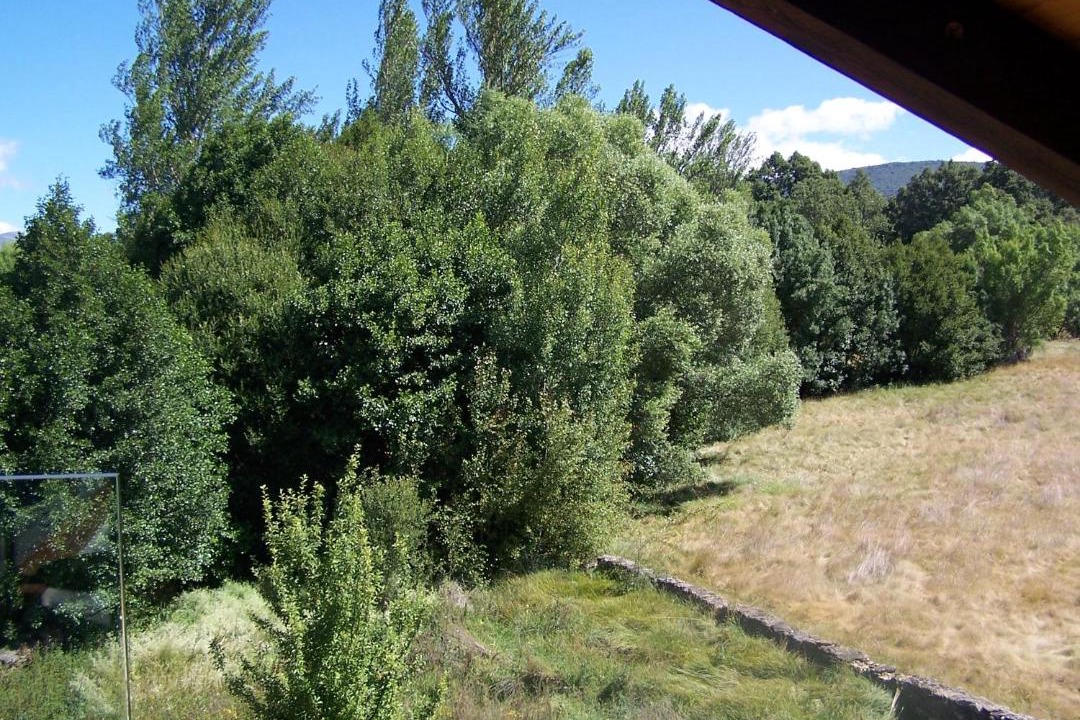 Photo of Others in Robleda-Cervantes