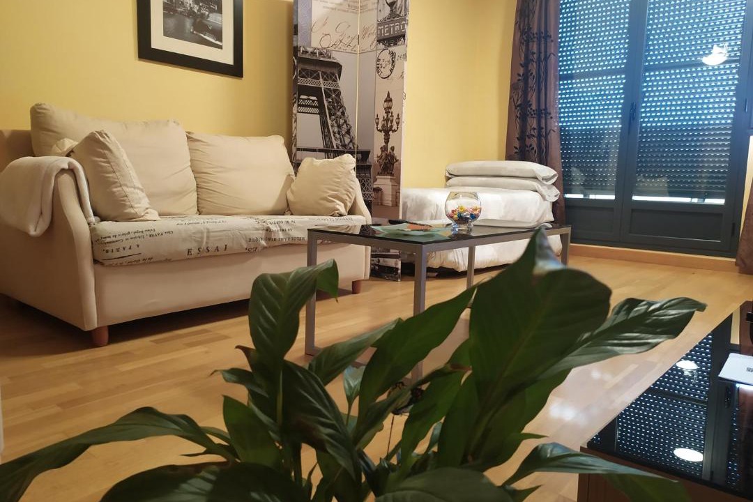 Photo of Livingroom in Logrono