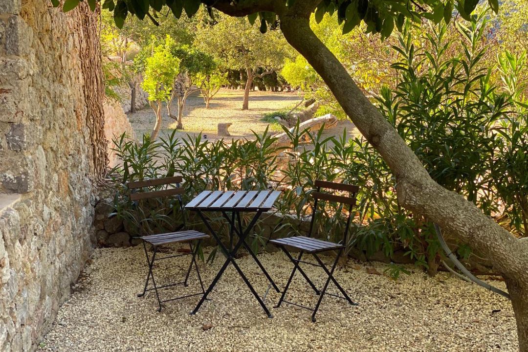 Photo of Others in Valldemossa