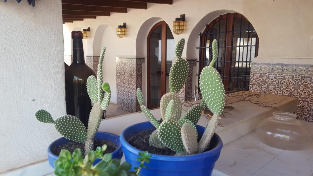 Photo of Patio Balcony in El Beal