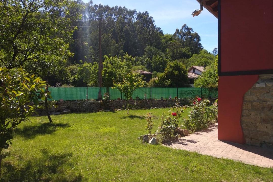 Photo of Others in Alava