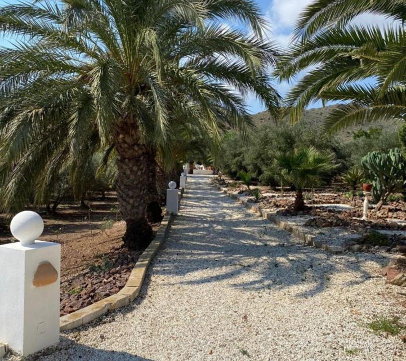 Photo of Others in El Pozo de los Frailes