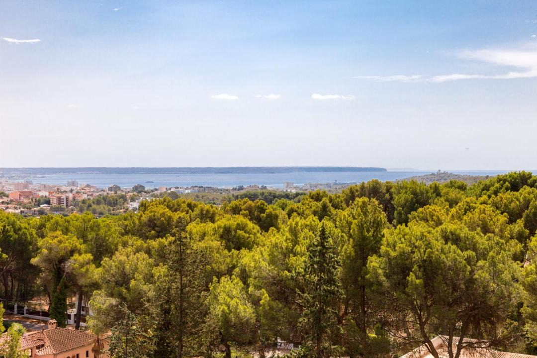 Photo of Others in Palma de Mallorca