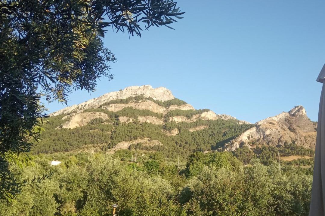 Photo of Others in La Iruela