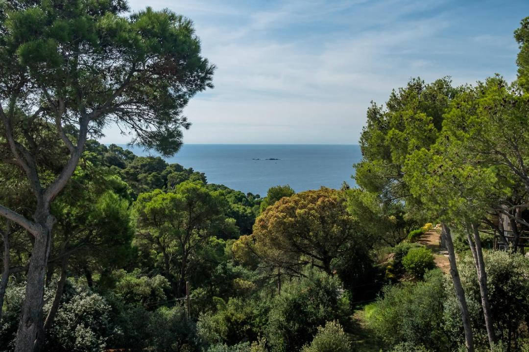 Photo of Outdoor in Llafranc