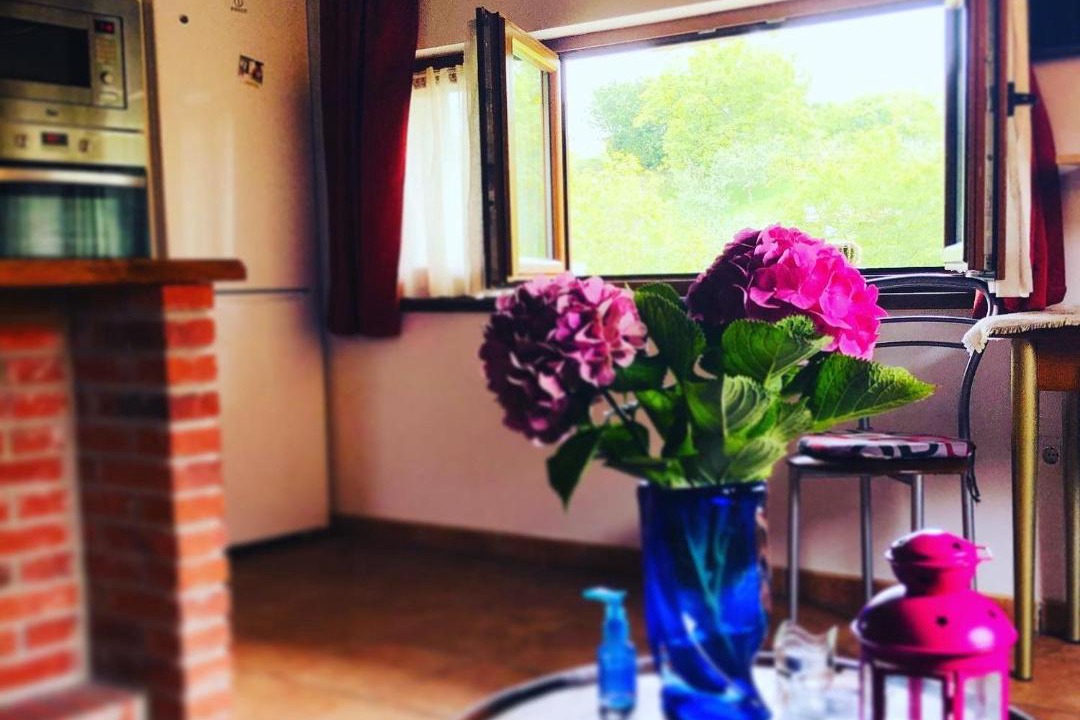 Photo of Livingroom in El Barcenal