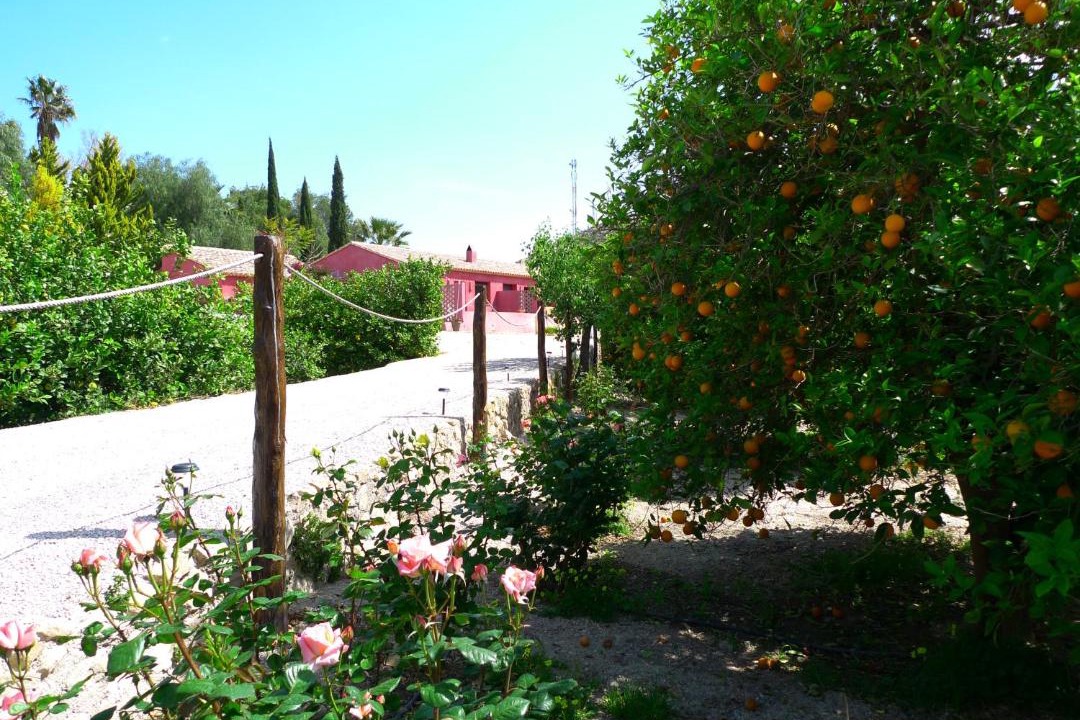 Photo of Others in Villanueva Del Rio Segura