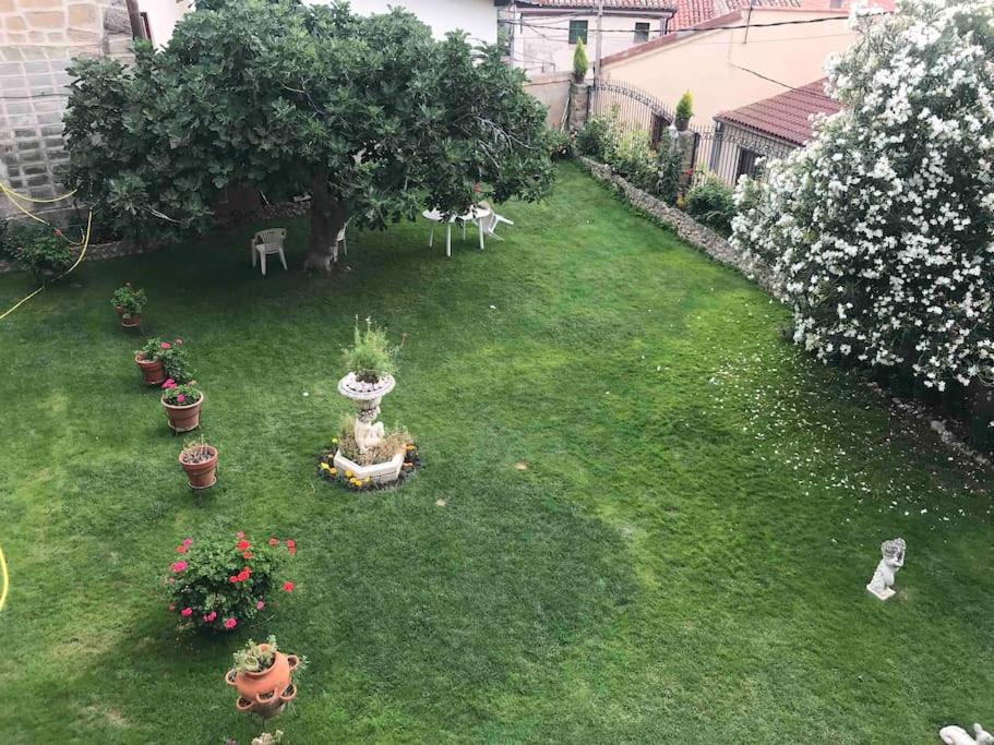 Photo of Others in Treviana