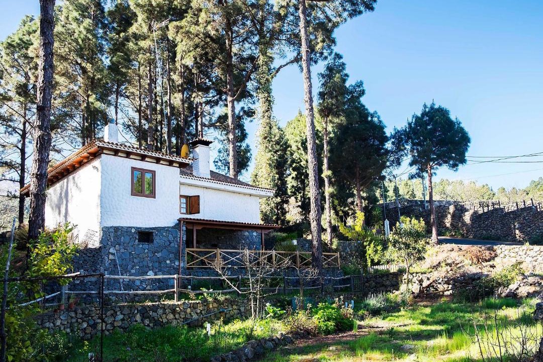 Photo of Buildings in Icod de los Vinos