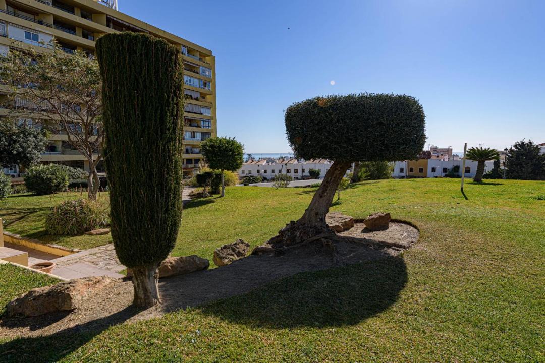Photo of Others in Torremolinos