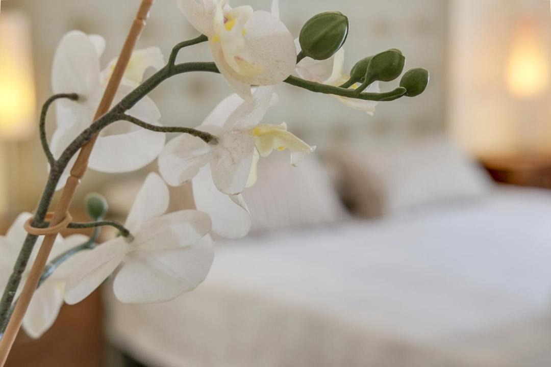 Photo of Bedroom in Los Abrigos