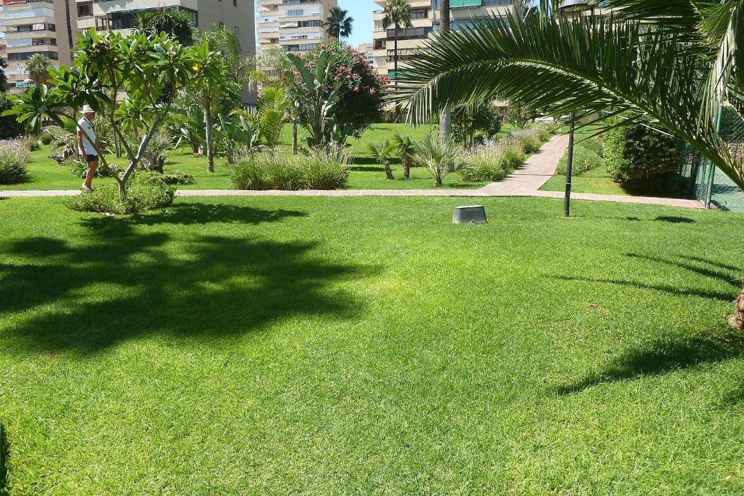 Photo of Others in Torremolinos