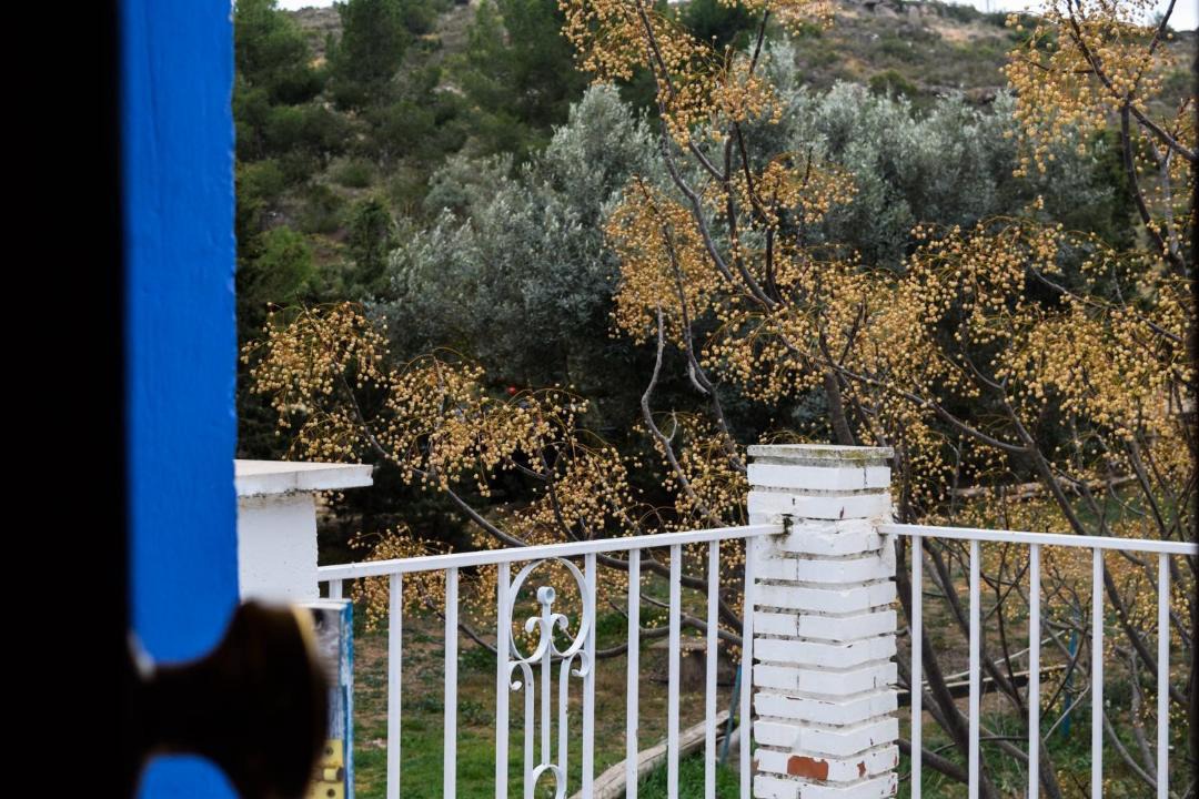 Photo of Others in Caspe