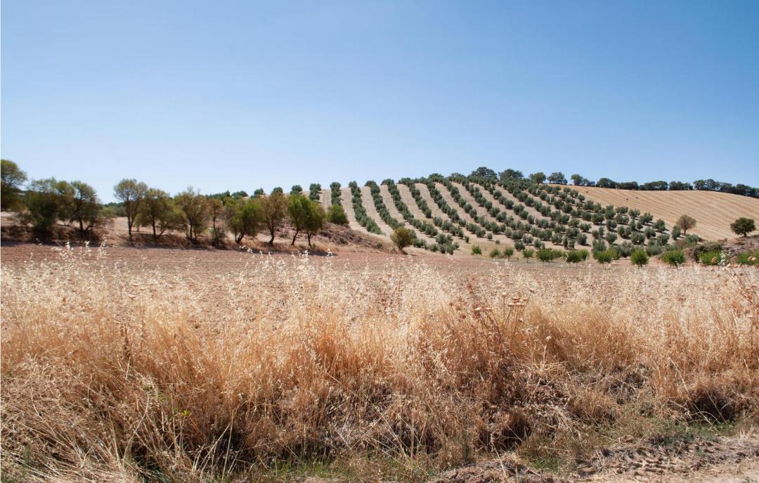 Photo of Outdoor in Domingo Perez de Granada