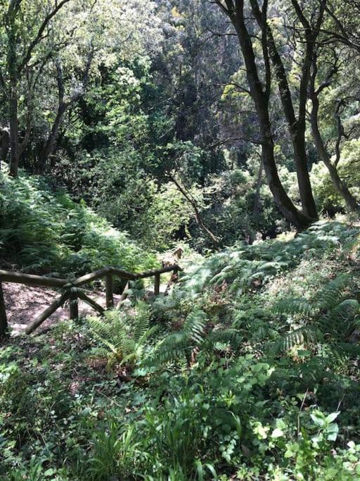 Photo of Others in Val De San Vicente