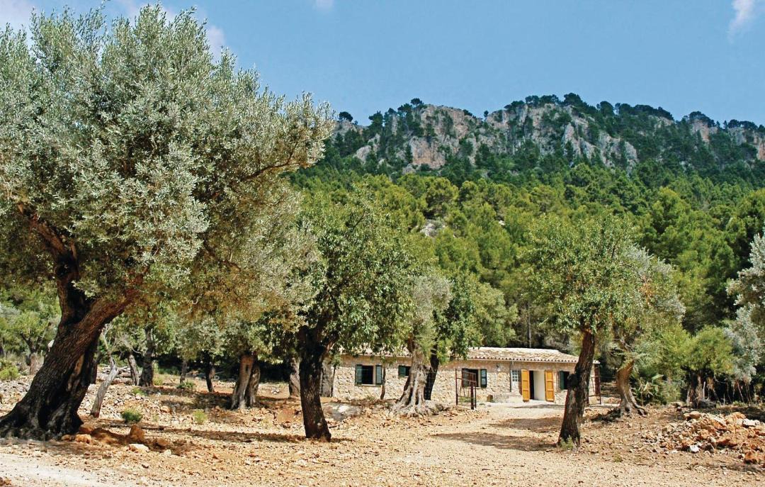 Photo of Others in Estellencs
