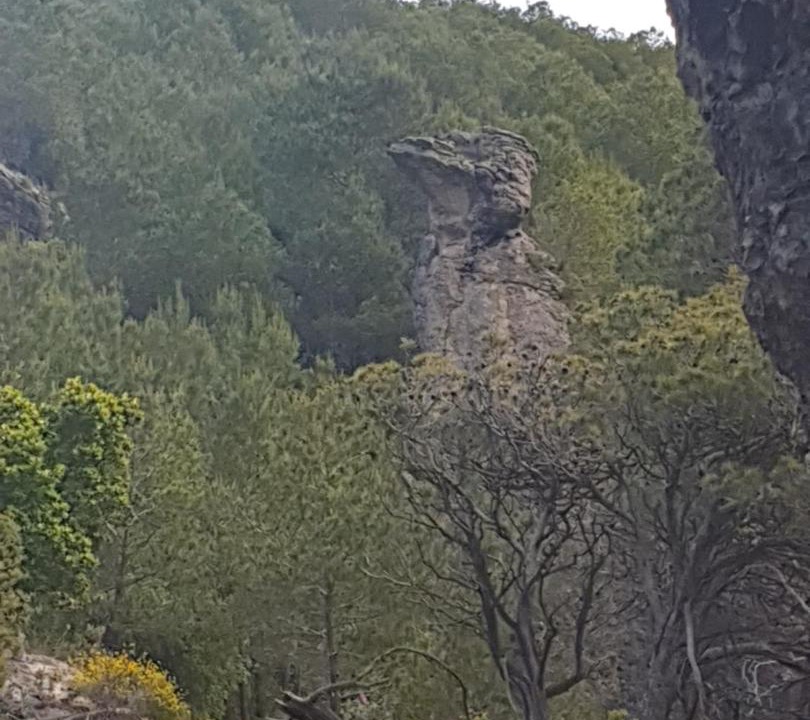 Photo of Others in Benifallet