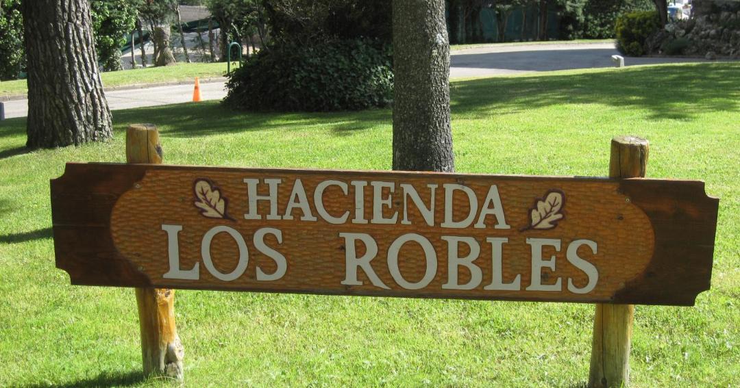 Photo of Others in Navacerrada