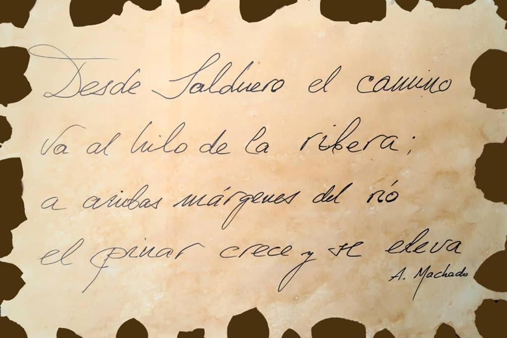Photo of Others in Salduero