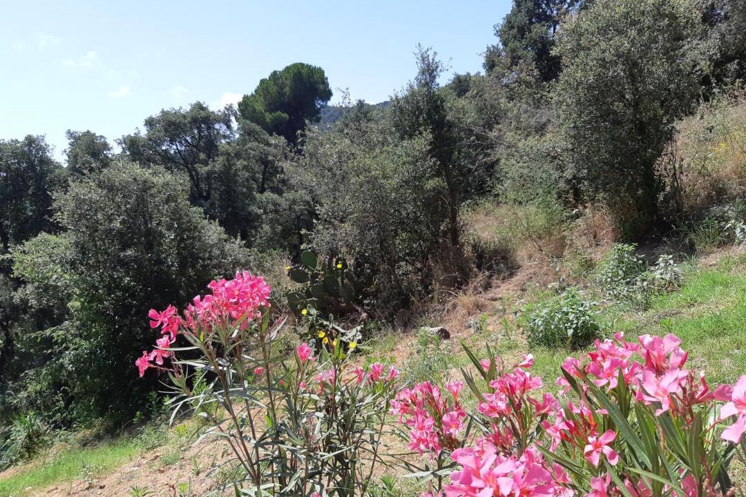 Photo of Outdoor in Rio d'Oro