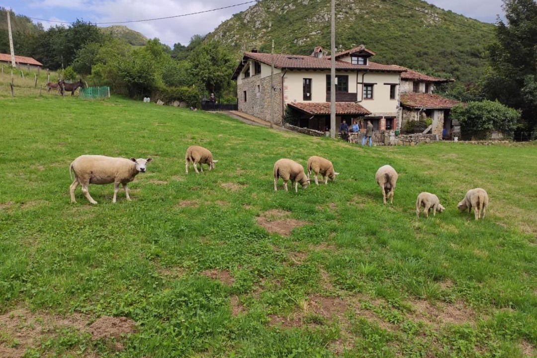 Photo of Buildings in Bode