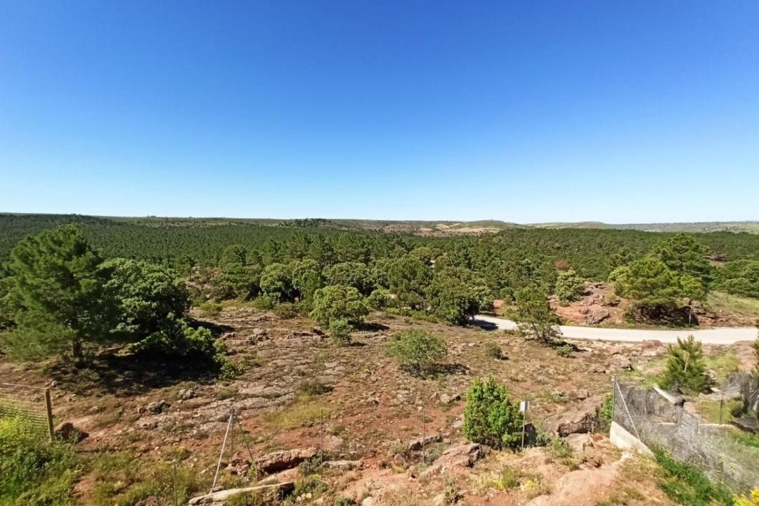 Photo of Outdoor in Siguenza