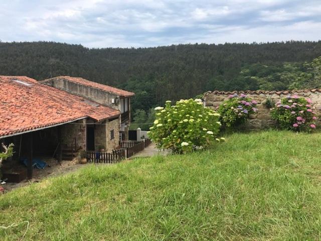 Photo of Others in Ruisenada