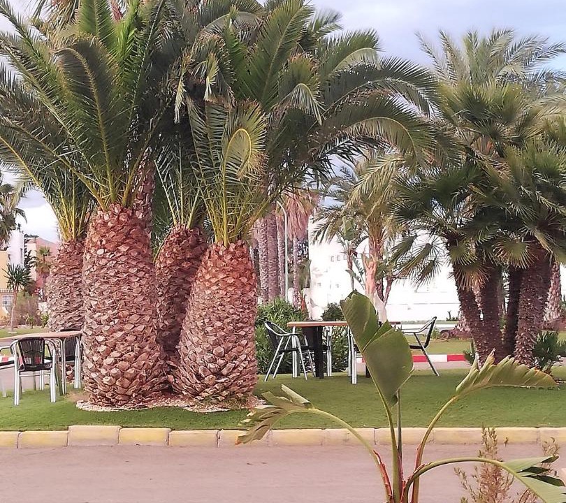 Photo of Others in Vera Beach