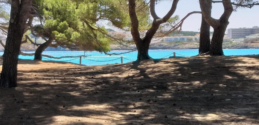 Photo of Outdoor in Son Servera